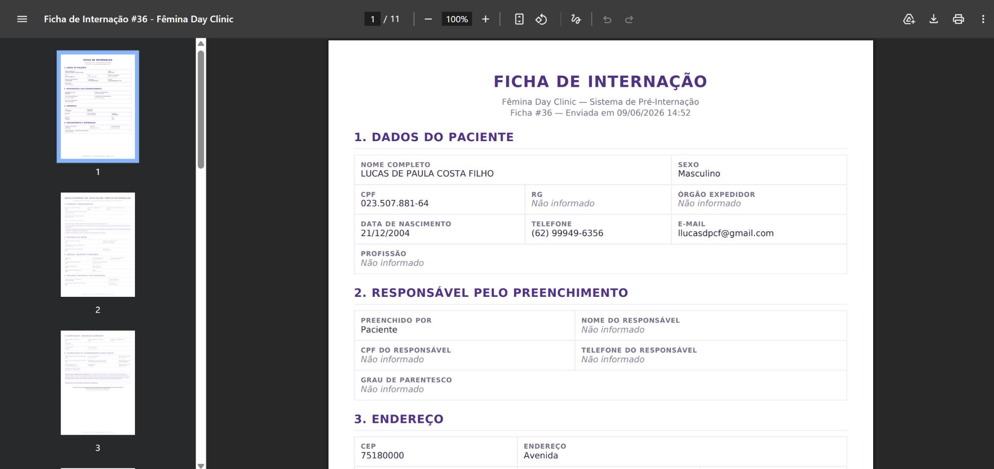 Visualização do PDF gerado pelo sistema
